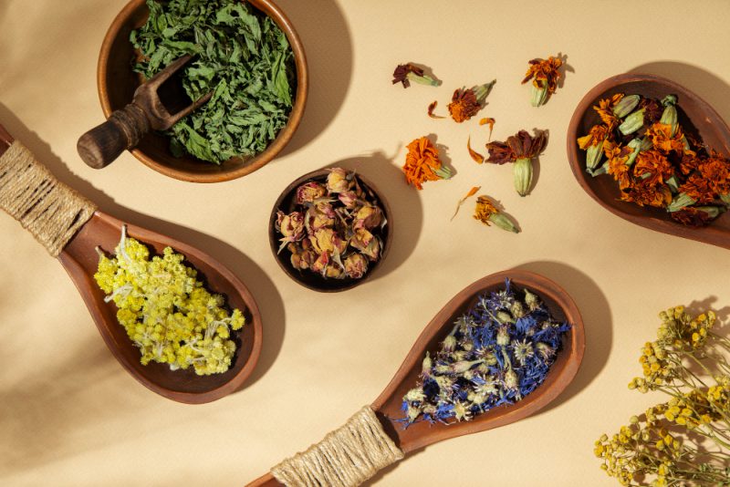 گیاه دارویی برای سرماخوردگی
