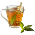 Herbal Tea