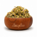 گل مغربی
