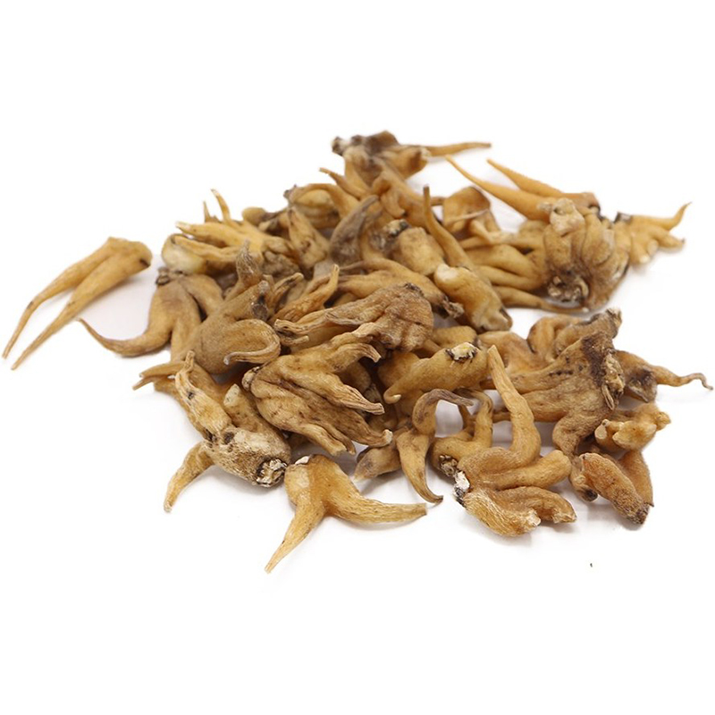 فواید ثعلب پنجه ای