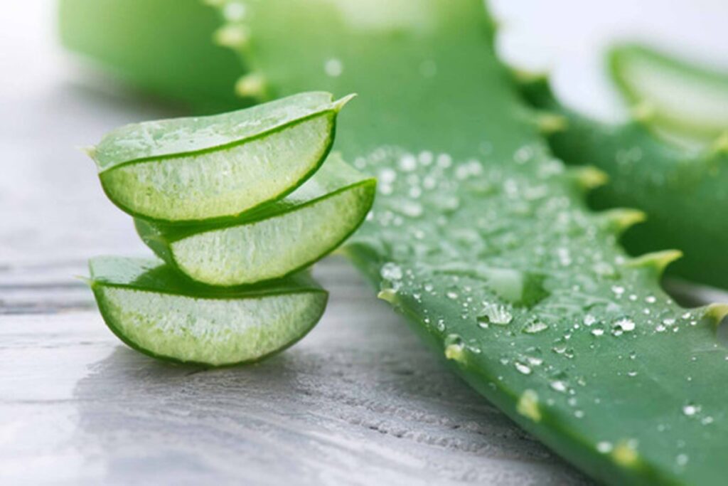صبر زرد چه خواصی دارد
