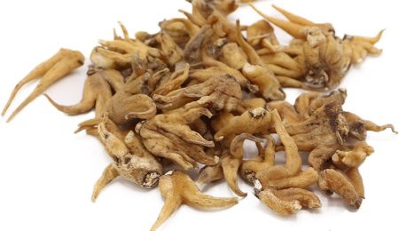 فواید ثعلب پنجه ای